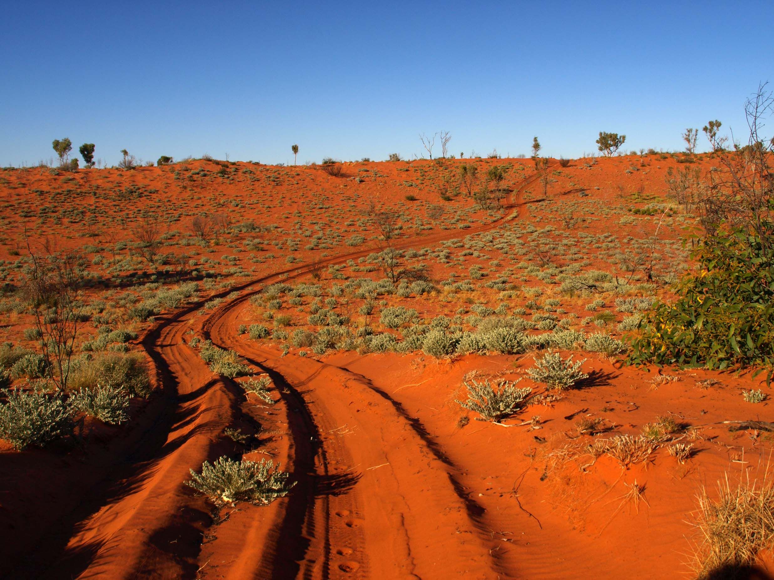 Пустыня гибсона австралия. Пустыни Австралии большая Песчаная.