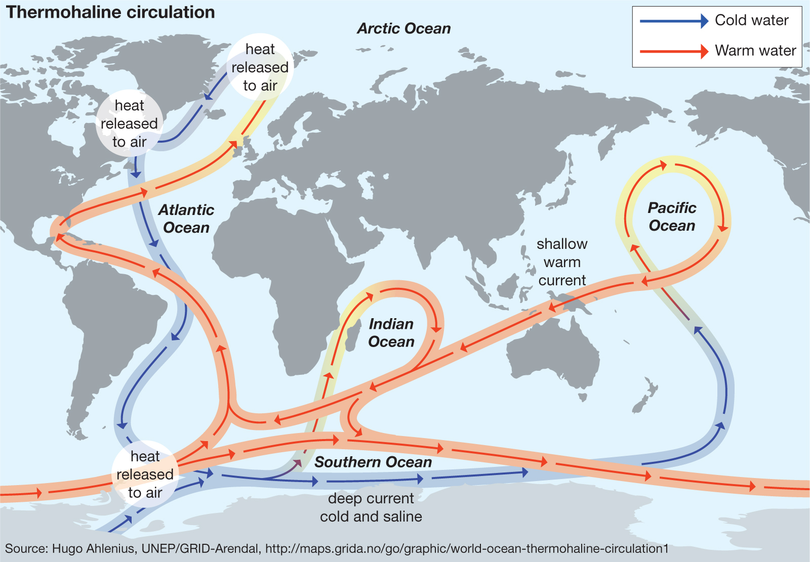 Теплое течение европы. Гольфстрим на карте мирового океана. Течение Гольфстрим на карте мирового океана. Глобальная термохалинная циркуляция. Течение Гольфстрим на карте.