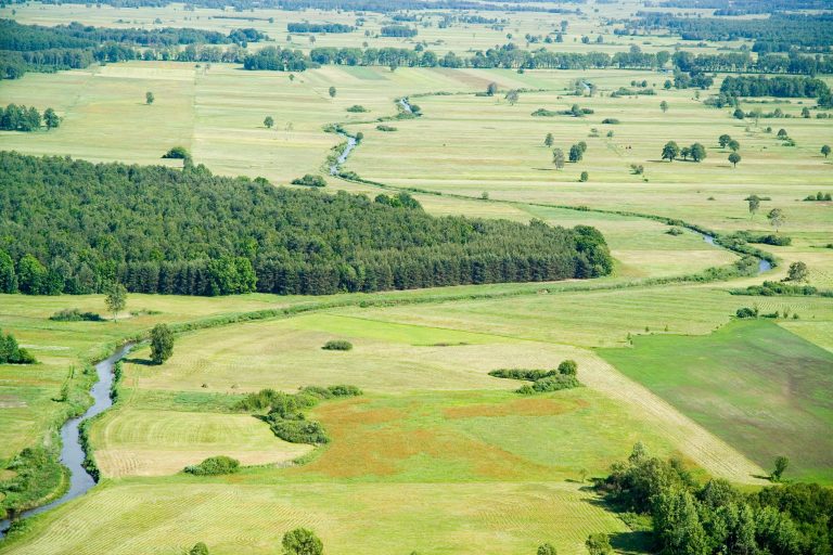 Pas nizin | Geografia24.pl