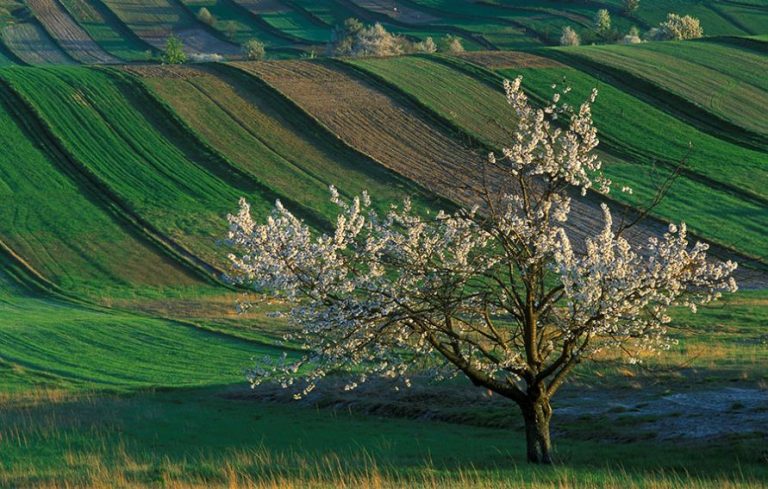 Pas wyżyn | Geografia24.pl