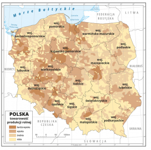 Rozwój Rolnictwa W Polsce | Geografia24.pl